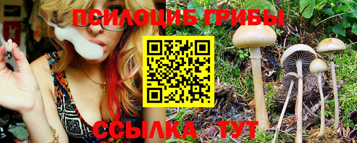 Псилоцибиновые грибы Cubensis  Вход с VPN  Галлюциногенные грибы MAGIC MUSHROOMS  Дюртюли 